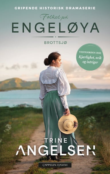 Omslag av "Brottsjø"