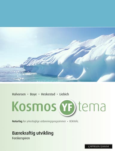 Kosmos YF tema Berekraftig utvikling (2009)