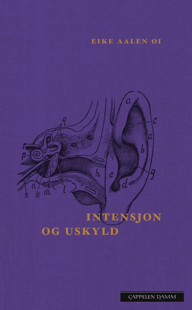 Omslag Intensjon og uskyld av Eike Aalen Øi (Ebok)