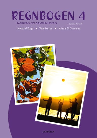 Regnbogen Ny utgåve 4 Arbeidsbok