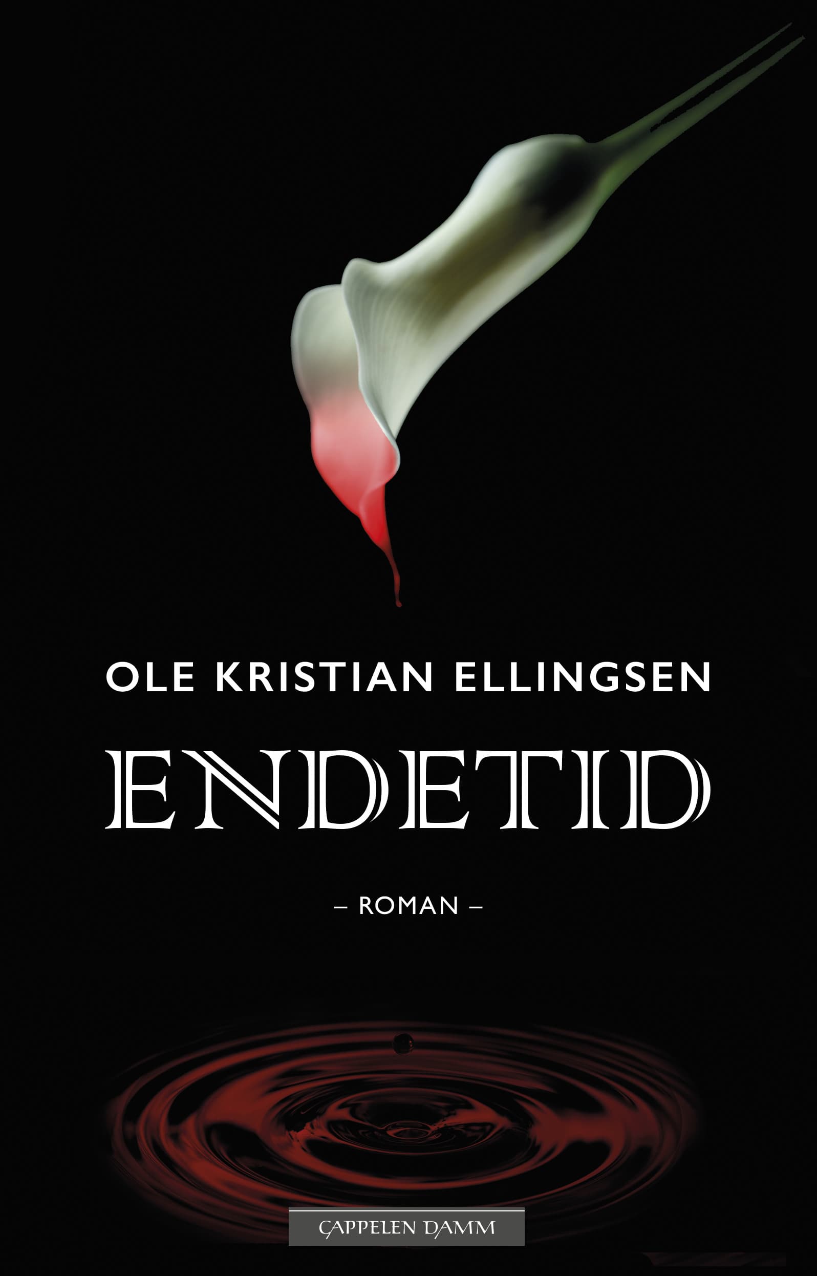 Omslag Endetid av Ole Kristian Ellingsen (Innbundet)