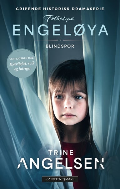 Omslag av "Blindspor"