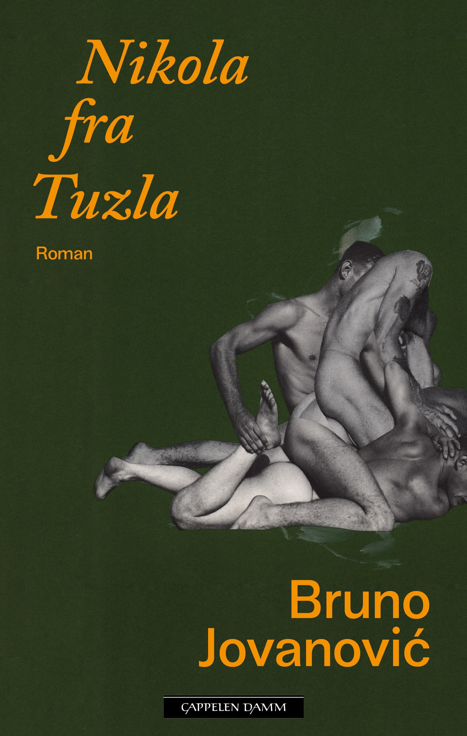 Omslag Nikola fra Tuzla av Bruno Jovanovic (Ebok)