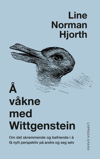 Å våkne med Wittgenstein