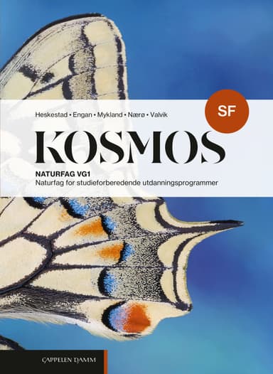 Kosmos SF (2026)