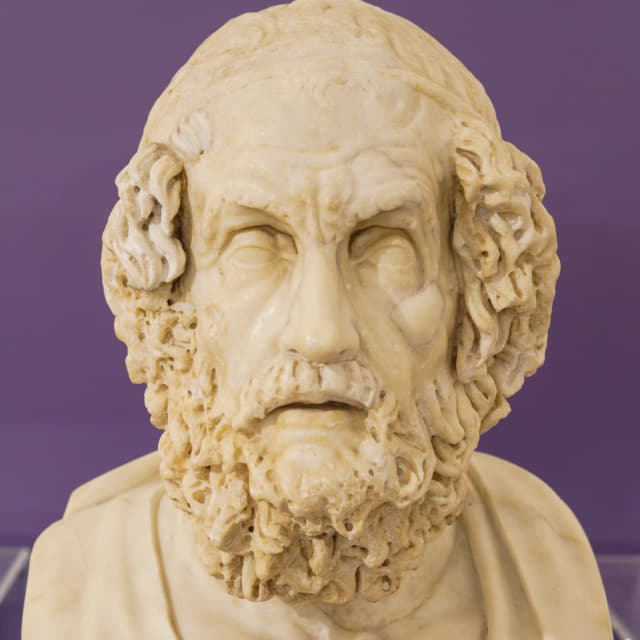 Bidragsyter Homer