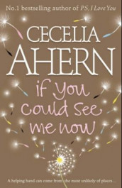 If you could see me now av Cecelia Ahern (Heftet)