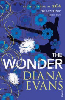 The wonder av Diana Evans (Heftet)