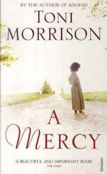 A mercy av Chloe Anthony Wofford (Heftet)