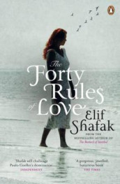 The forty rules of love av Elif Shafak (Heftet)