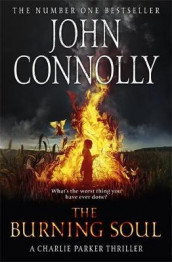 The burning soul av John Connolly (Heftet)