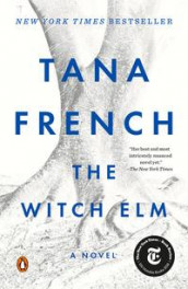 The witch elm av Tana French (Heftet)