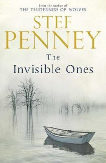 The invisible ones av Stef Penney (Heftet)