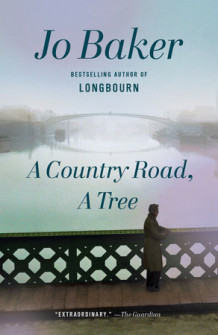 A country road, a tree av Jo Baker (Heftet)
