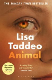 Animal av Lisa Taddeo (Heftet)