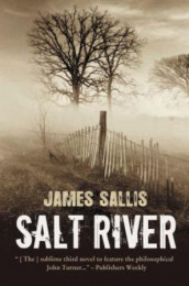 Salt river av James Sallis (Innbundet)