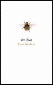 Bee quest av Dave Goulson (Innbundet)