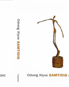 Samtidig av Odveig Klyve (Innbundet)