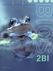 Bios 2BI av Marianne Sletbakk (Heftet)