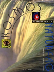 Kosmos Påbygging Lærebok (2002) av Ivar Karsten Lerstad og Harald Otto Liebich (Heftet)