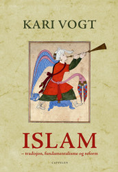 Islam - tradisjon, fundamentalisme og reform av Kari Vogt (Innbundet)