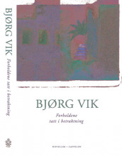 Forholdene tatt i betraktning av Bjørg Vik (Innbundet)