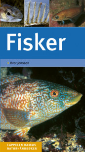 Fisker av Bror Jonsson (Fleksibind)
