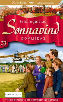 Dommedag av Frid Ingulstad (Heftet)