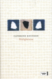 Mulighetene av Cathrine Knudsen (Ebok)