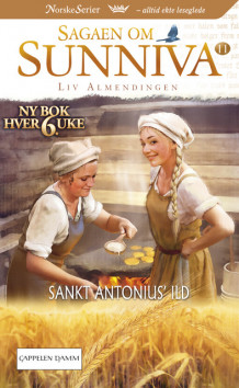 Sankt Antonius' ild av Liv Almendingen (Heftet)