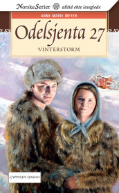 Vinterstorm av Anne Marie Meyer (Heftet)