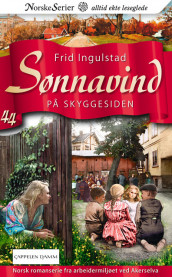 På skyggesiden av Frid Ingulstad (Heftet)