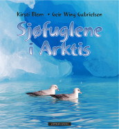 Sjøfuglene i Arktis av Kirsti Blom (Innbundet)