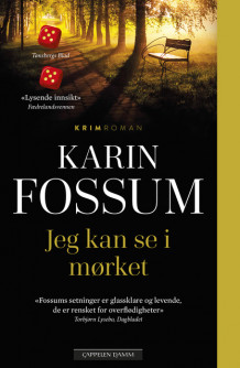 Jeg kan se i mørket av Karin Fossum (Ebok)