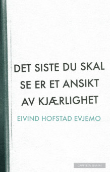 Det siste du skal se er et ansikt av kjærlighet av Eivind Hofstad Evjemo (Innbundet)