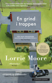 En grind i trappen av Lorrie Moore (Heftet)