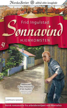Hjemkomsten av Frid Ingulstad (Heftet)