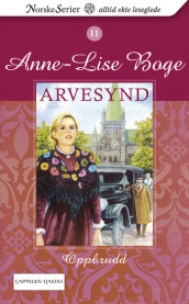 Oppbrudd av Anne-Lise Boge (Heftet)