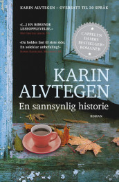 En sannsynlig historie av Karin Alvtegen (Ebok)