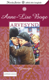 Gjensyn av Anne-Lise Boge (Heftet)
