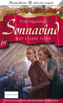 Mot lysere tider av Frid Ingulstad (Heftet)