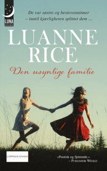Den usynlige familie av Luanne Rice (Ebok)