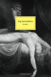 Incubus av Stig Sæterbakken (Heftet)
