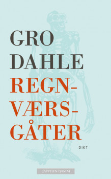 Regnværsgåter av Gro Dahle (Heftet)