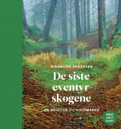De siste eventyrskogene av Gjermund Andersen (Innbundet)