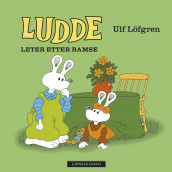 Ludde leter etter bamse av Ulf Löfgren (Innbundet)