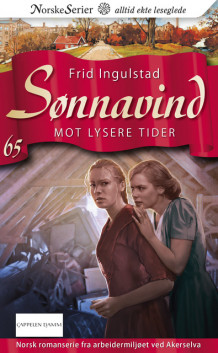 Mot lysere tider av Frid Ingulstad (Ebok)