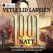 1001 natt av Vetle Lid Larssen (Lydbok MP3-CD)