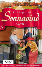 Savnet av Frid Ingulstad (Ebok)