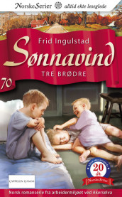 Tre brødre av Frid Ingulstad (Ebok)